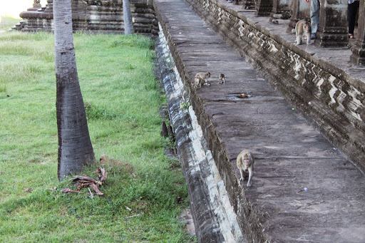 Visite des temples d'Angkor en 3 jours