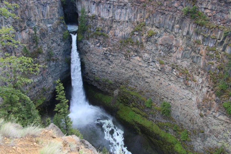 20180618215151_IMG_3660