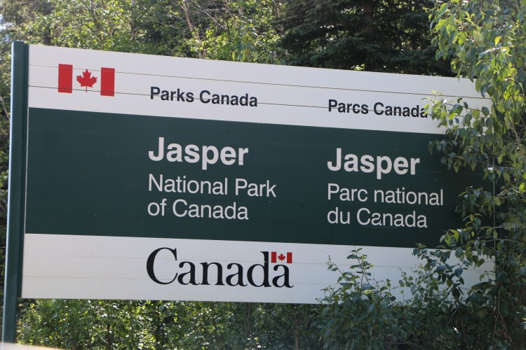 20180619180241_IMG_3675